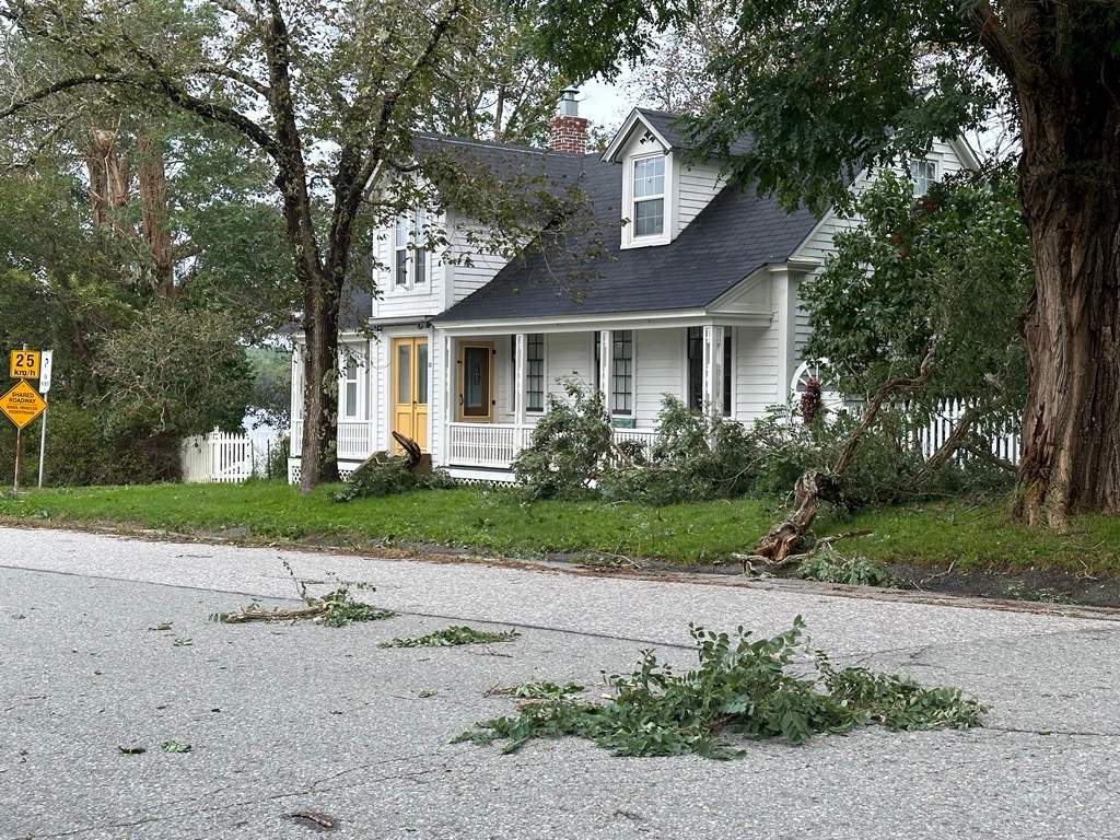 Downed trees rest in the front yard of a property in Shelburne, N.S., on Sunday morning.