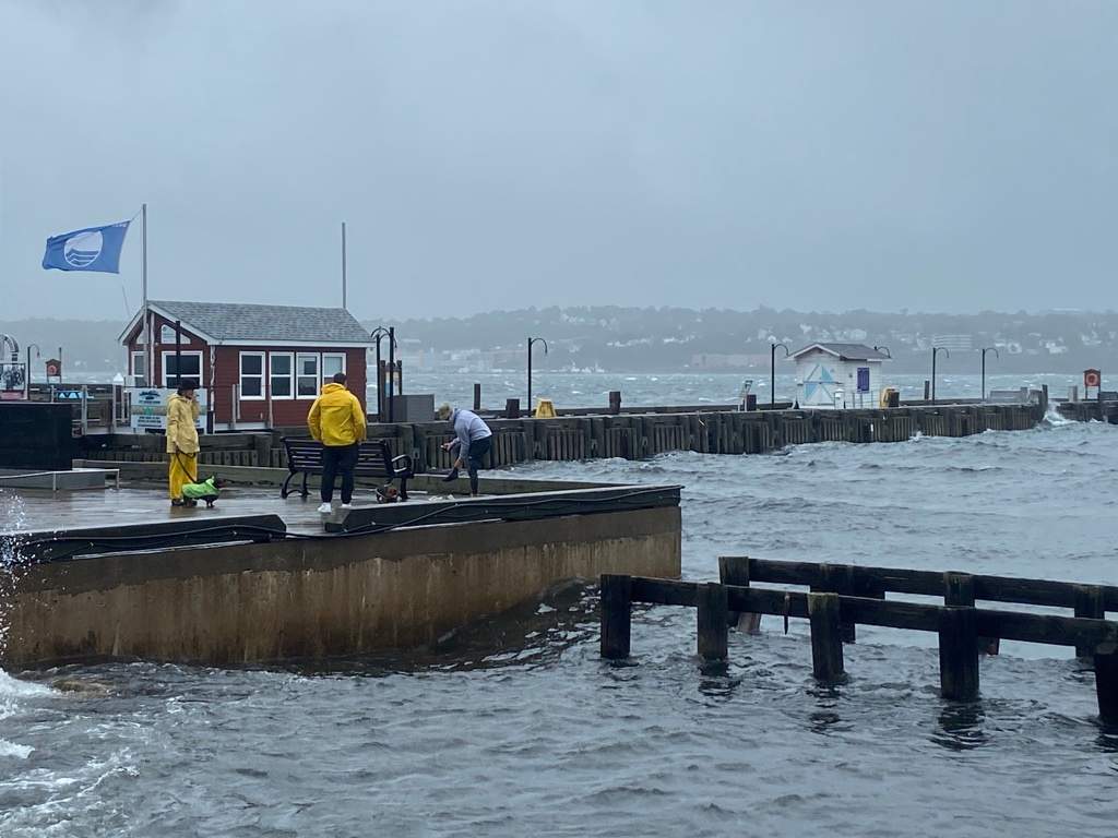 People gathered on the Halifax waterfront as post-tropical storm Lee lashed the coast despite warnings from officials.