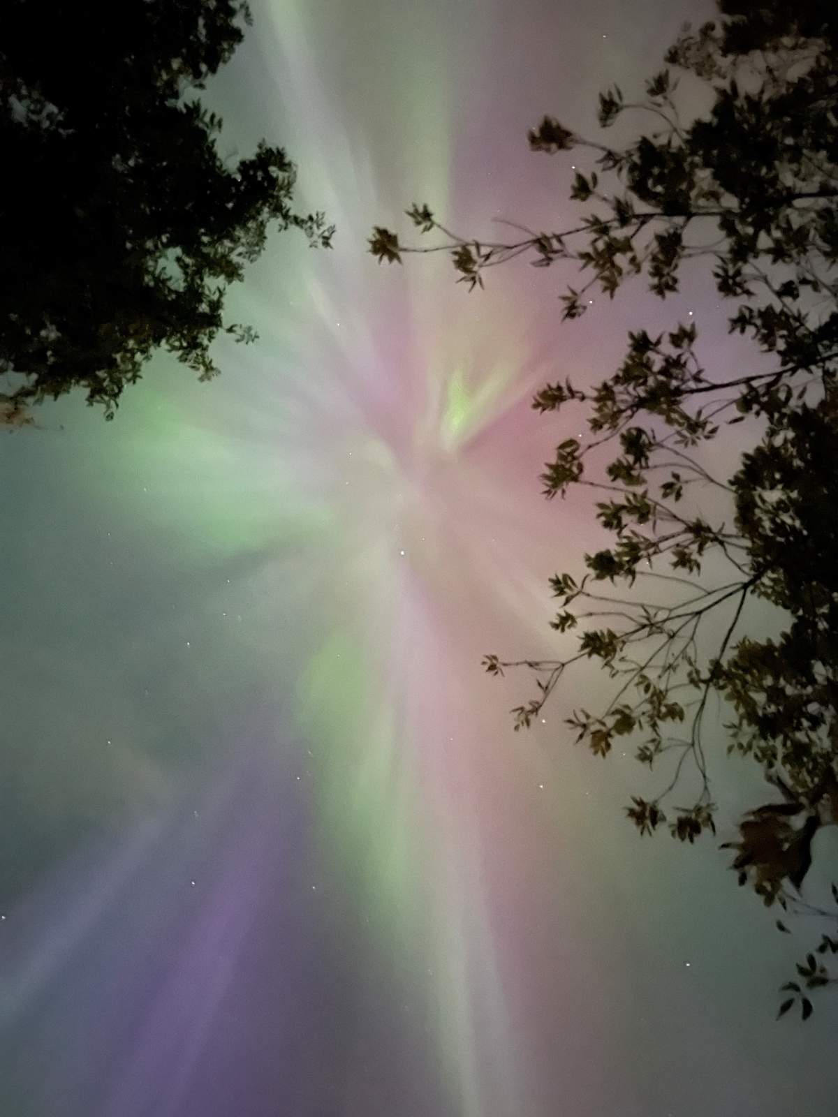 Northern Lights in Alberta.