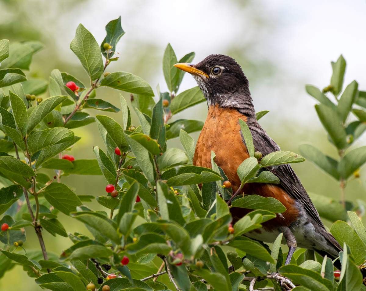 The Your Saskatchewan Photo of the day for Sept. 30 was taken by Cathy Wall, in Regina.