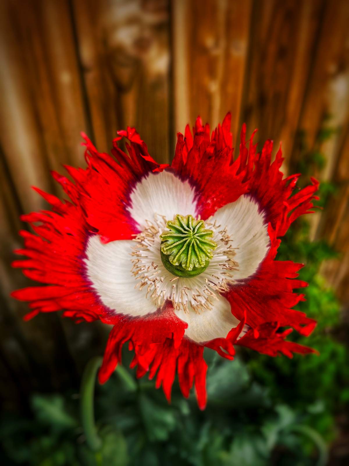 The Your Saskatchewan photo of the day for Sept. 16 was taken by Marita Obrigewitch in Luseland.