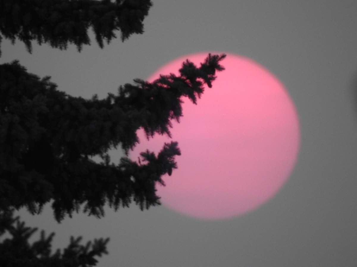 The Your Saskatchewan Photo of the day for Sept 24. was taken by Karen Norberg, in Watrous.