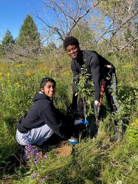 The trees planted included eastern white cedar, Freeman maple, ninebark, fragrant sumac, serviceberry, staghorn sumac, grey dogwood and black chokeberry.