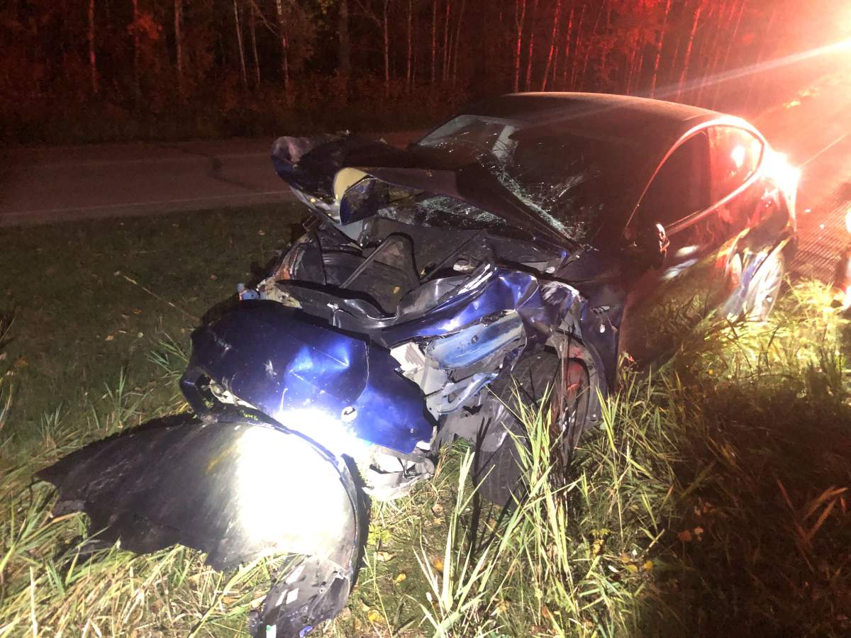 Aftermath of vehicle hitting bison at Elk Island National Park, in photos supplied by Parks Canada.