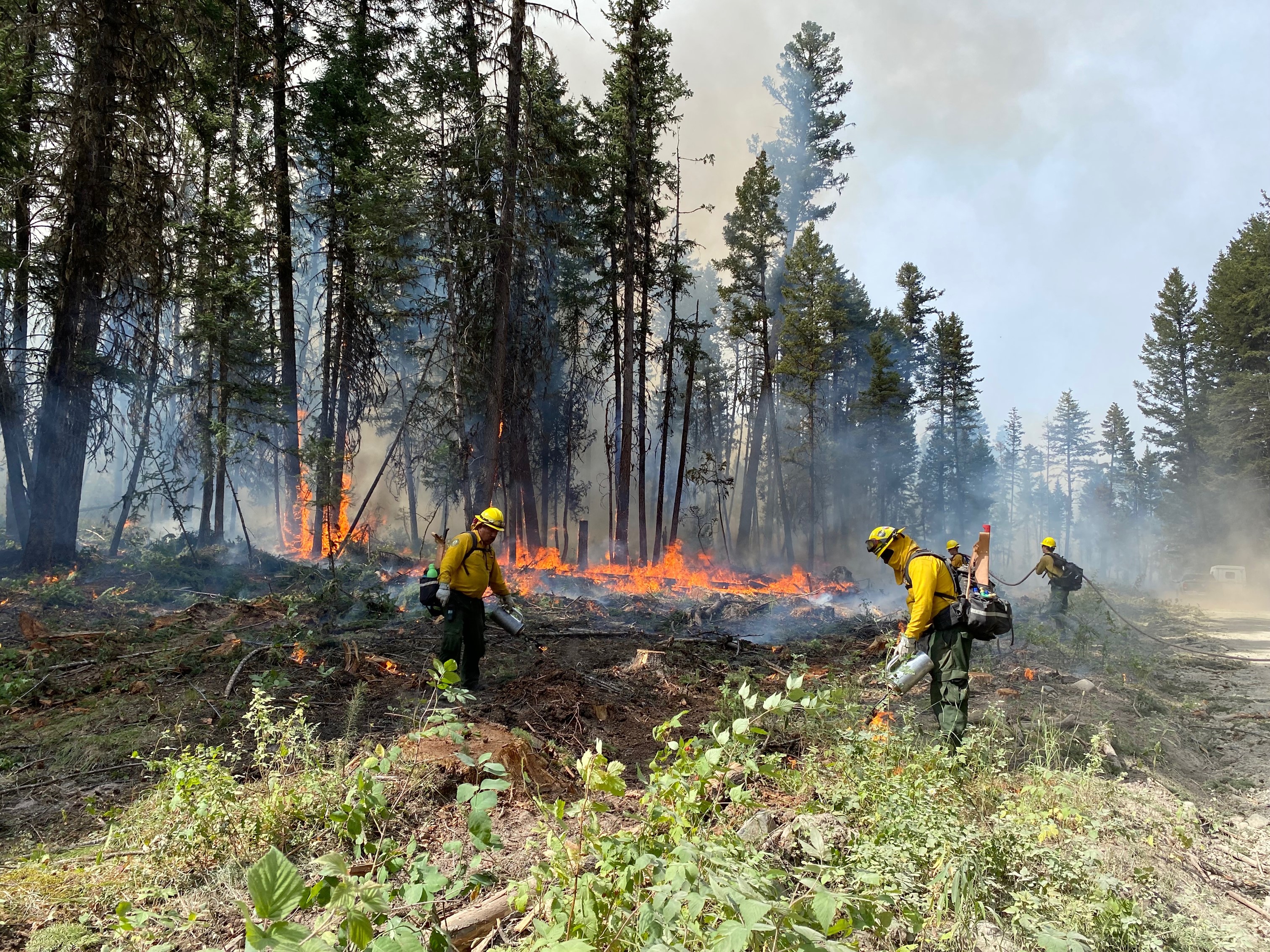 Firefighters in the control line at the Rossmoore Lake wildfire in July 2023.