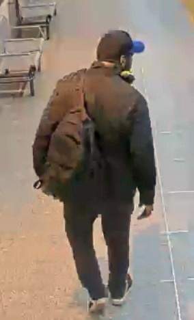 Man wanted after TTC constable assaulted at Spadina Station: police - image