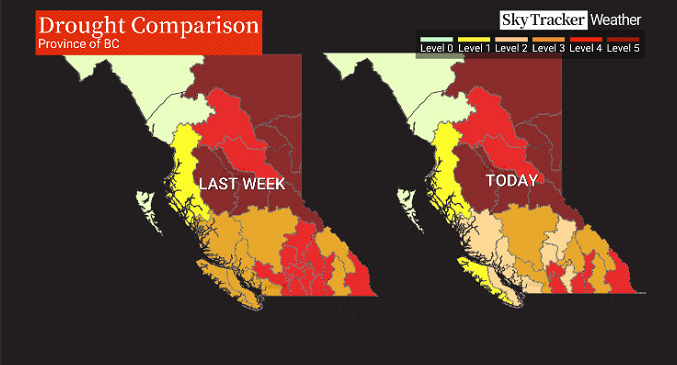 Soaking from atmospheric river helps ease drought levels across southern B.C. - image