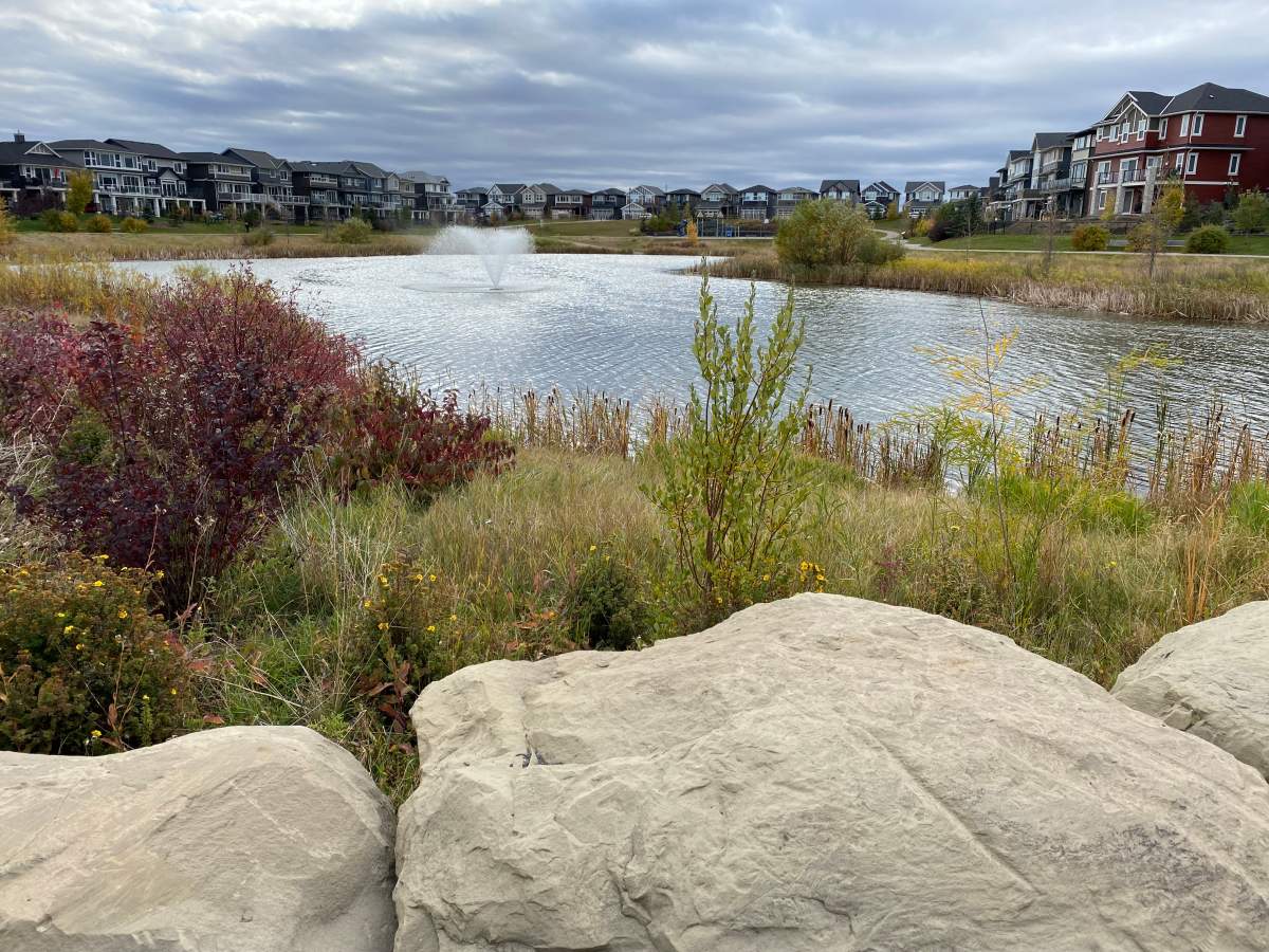 Airdrie RCMP are investigating an incident where a child was found in medical distress in a pond in the Kings Heights neighbourhood of Airdrie on Tuesday night.