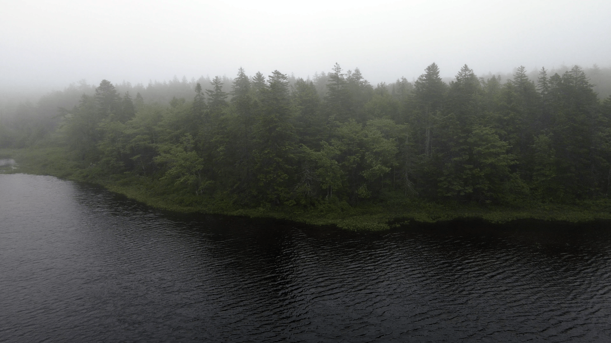 One of the parcels of land Whiley hopes the province will sell to the Upper Hammonds Plains Community Land Trust fronts onto Little Pockwock Lake. Today, there is no public access to the lake.