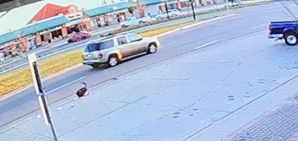 The suspect vehicle. A Chevrolet Trailblazer in gold or Tan.