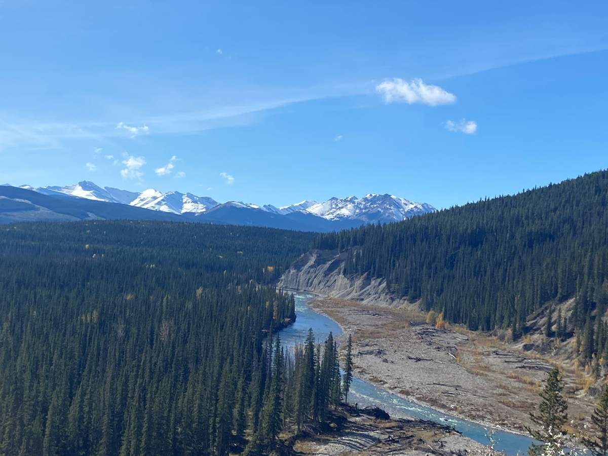 Parks Canada says they received an alert from a GPS device originating from the Red Deer River Valley at approximately 8 p.m. on Friday, indicating a bear attack.
