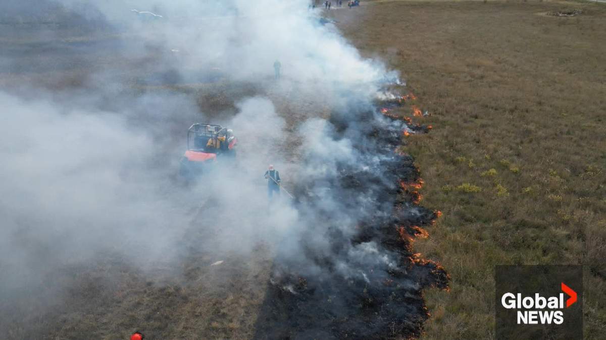 The city of Winnipeg says it will be conducting controlled burns in various natural areas between Monday and Nov 10.