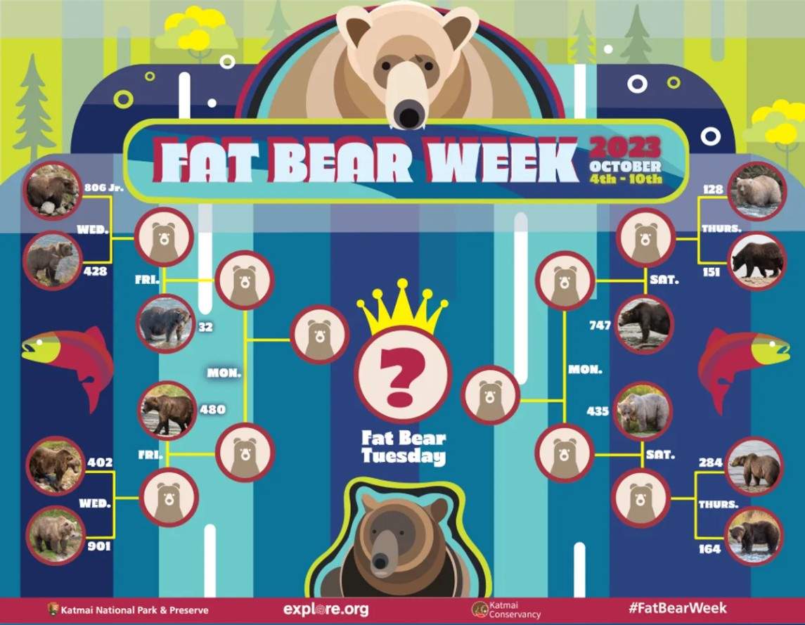 A look at the bracket for Fat Bear Week 2023.