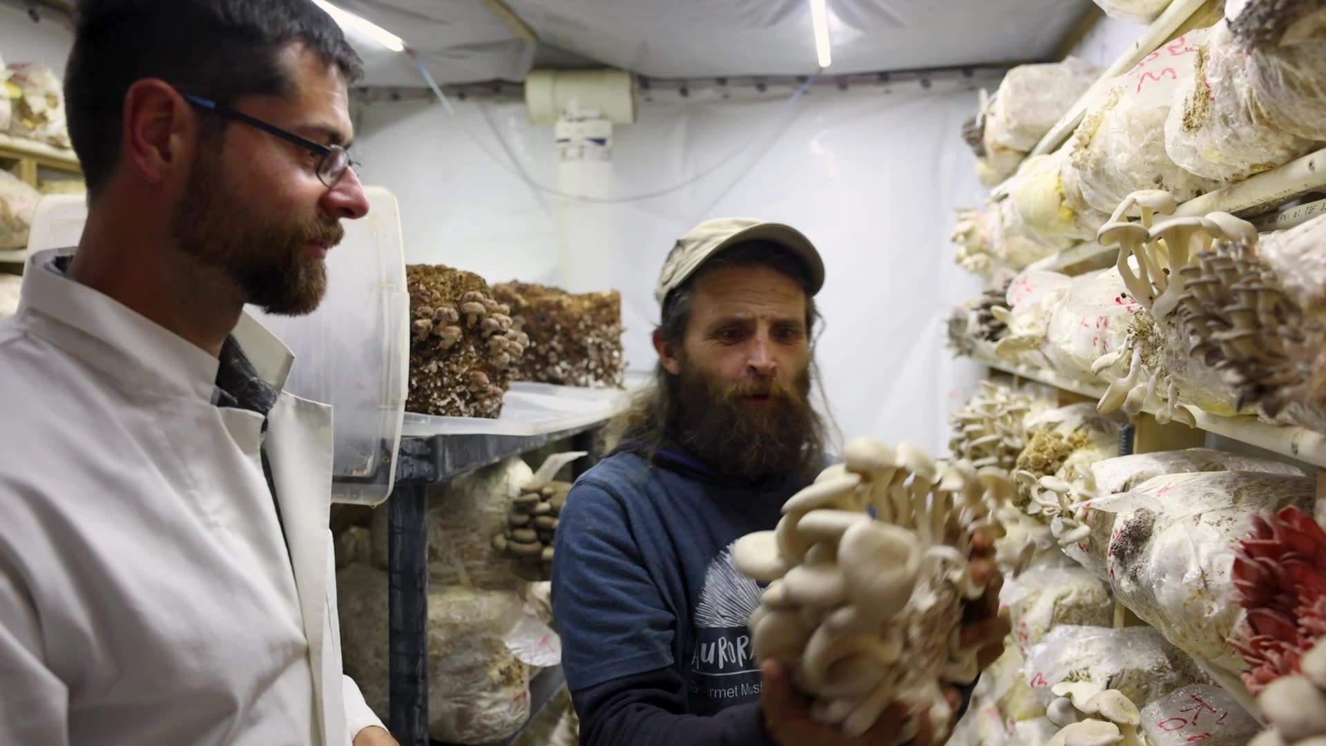 Fungi farmers Martin Hommel (left) and Chris Zazula grow all manner of mushrooms in Hazelton, BC.