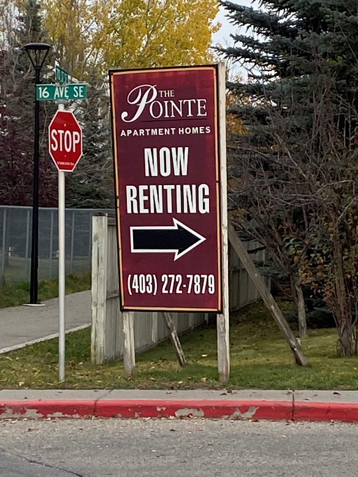 Calgary’s rental reality remains grim for many struggling renters - image