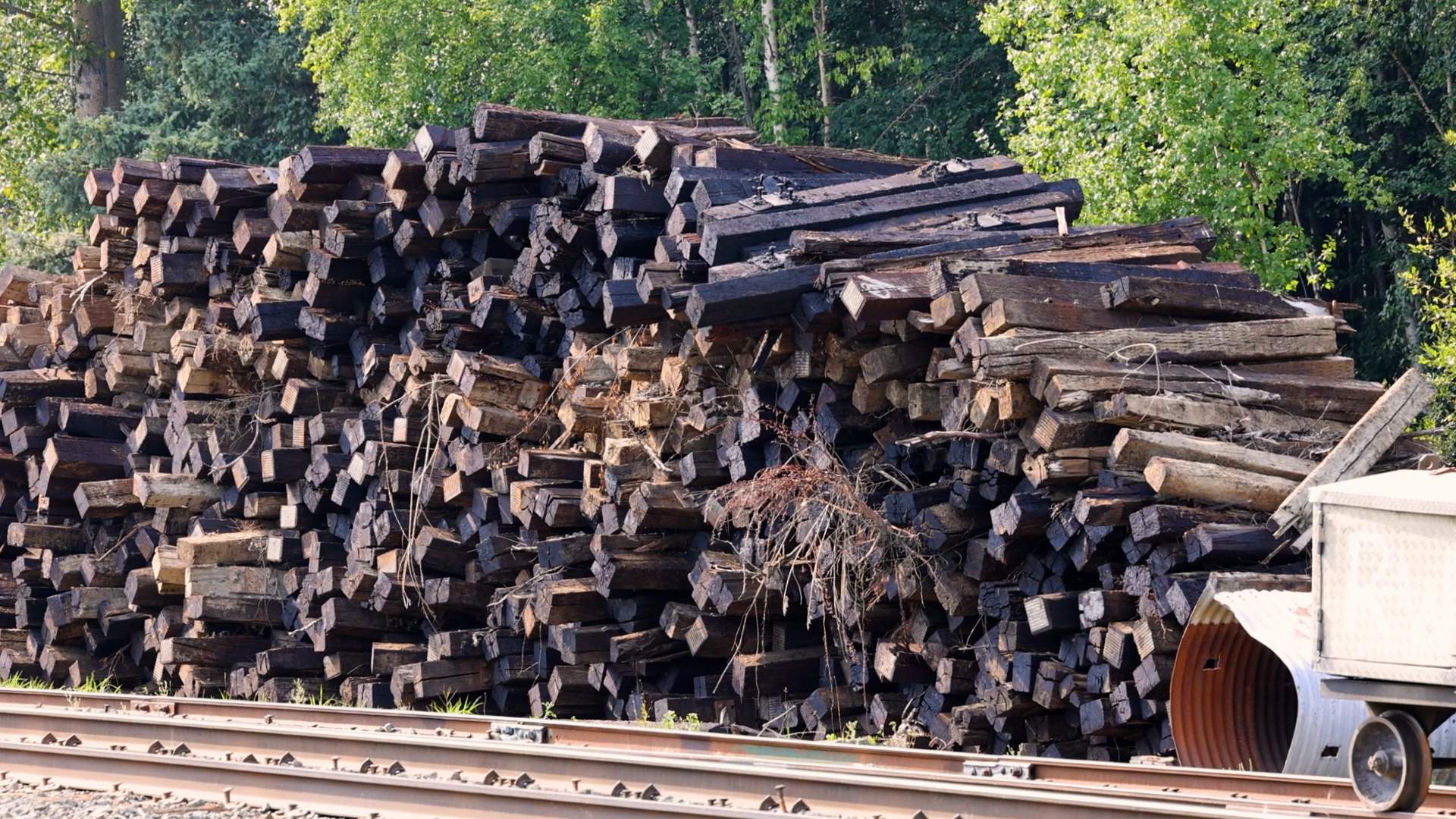 Old rail ties, containing the chemical creosote, are piled up on the land around the Skeena Watershed.