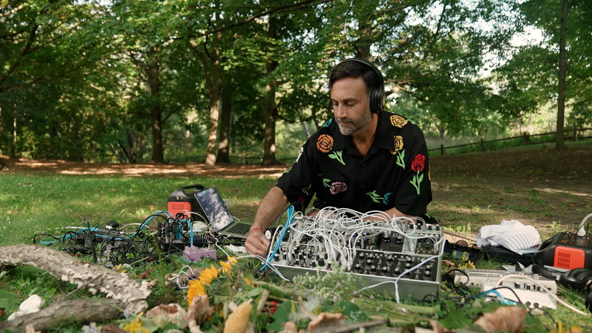 Tarun Nayer hosts foraged mushroom concerts.