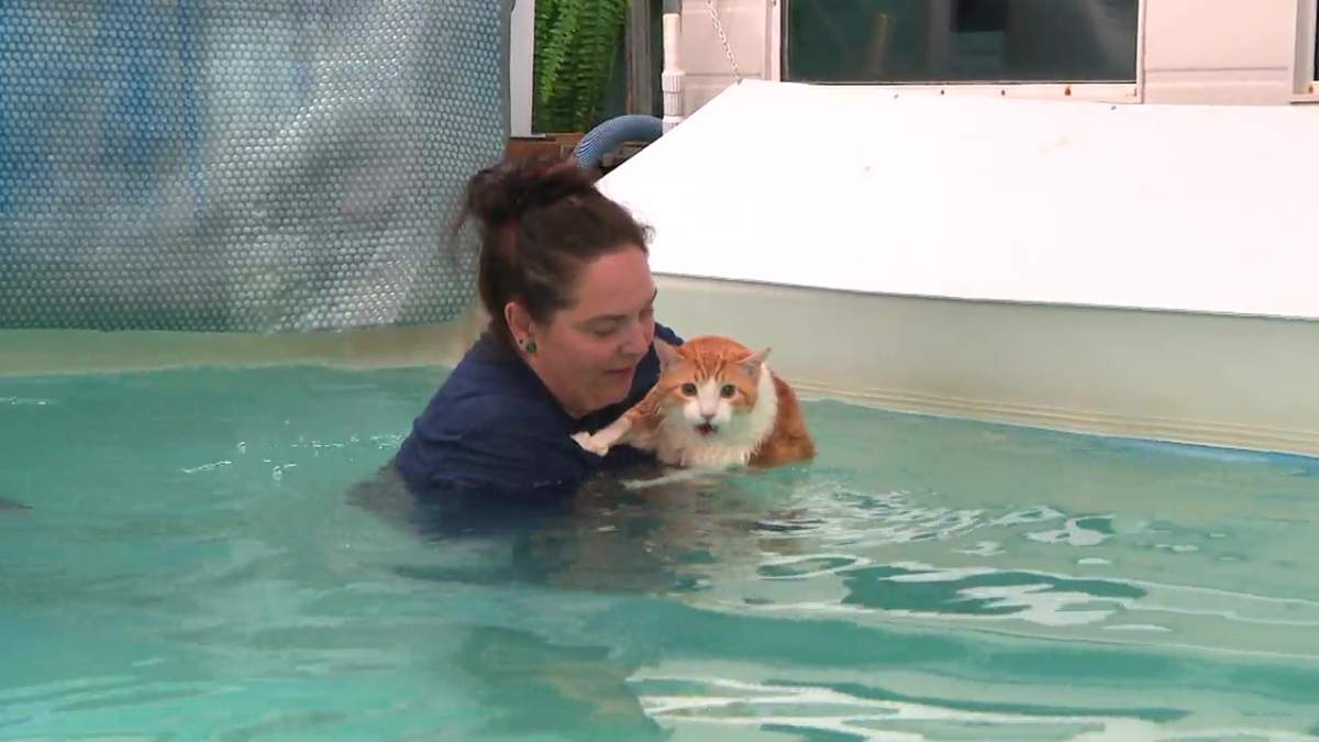 Peaches’s owner doesn’t think the water hurts him, but that he just prefers to not move as much as possible.