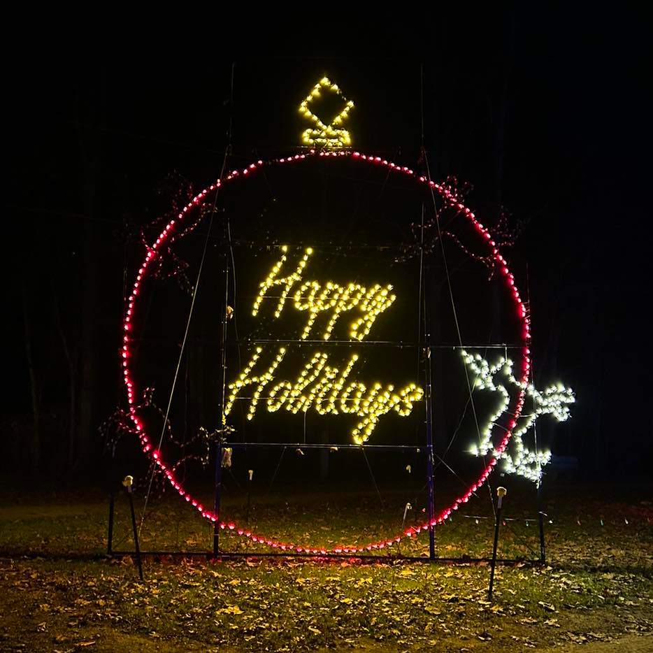 A story of Christmas lights and a proposal of magical proportions in Ontario - image