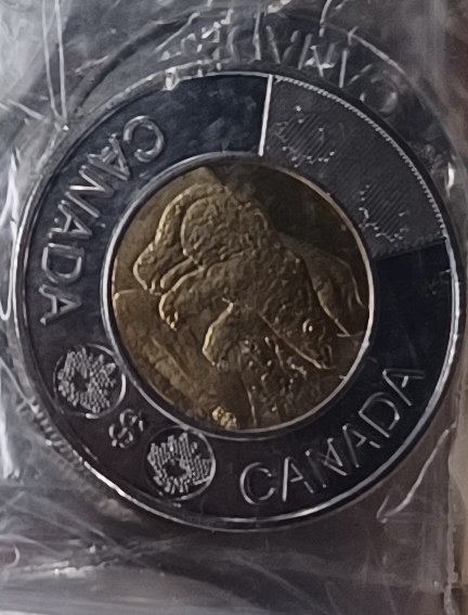 Fake Toonie Quebec seizure