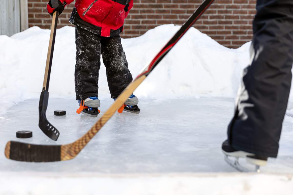 backyard rink