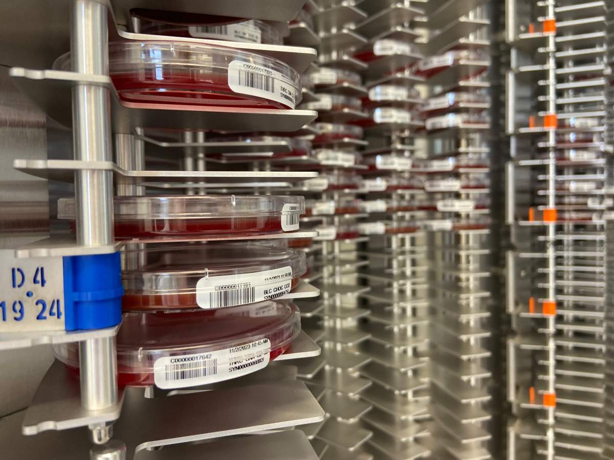 Located at LHSC’s Victoria Hospital (VH), the state-of-the-art microbiology lab and TLA system will serve hundreds of thousands of patients across Southwestern Ontario every year.