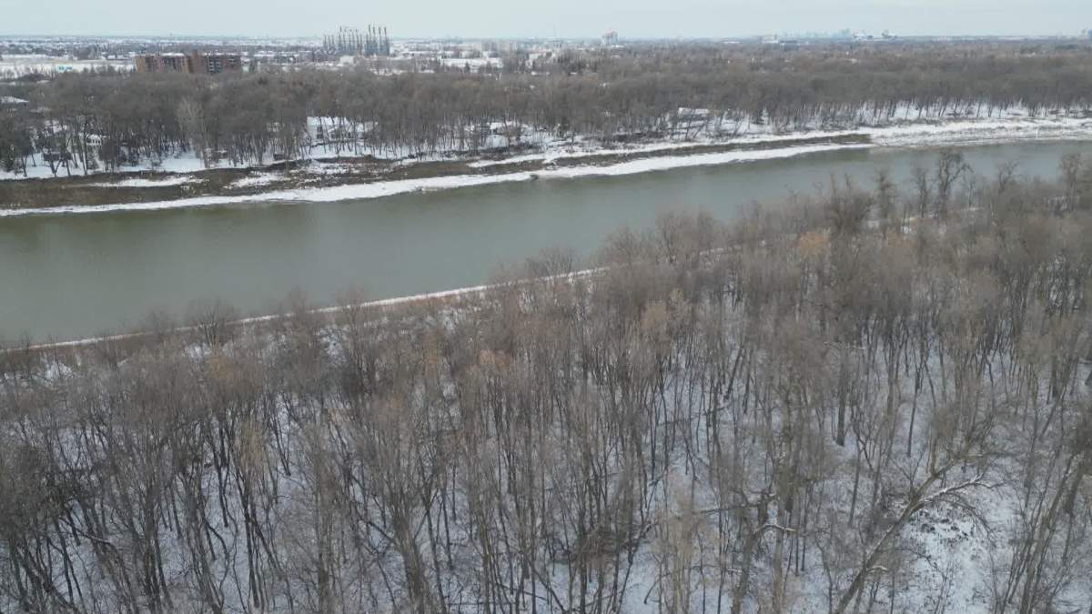 Justice Sarah Inness granted a continuation of an injunction to the owner of the Lemay Forest in St. Norbert. The injunction was not extended to the strip of city-owned land the developer has been using to access the forest, where a group of protestors has been set up since Dec. 26.