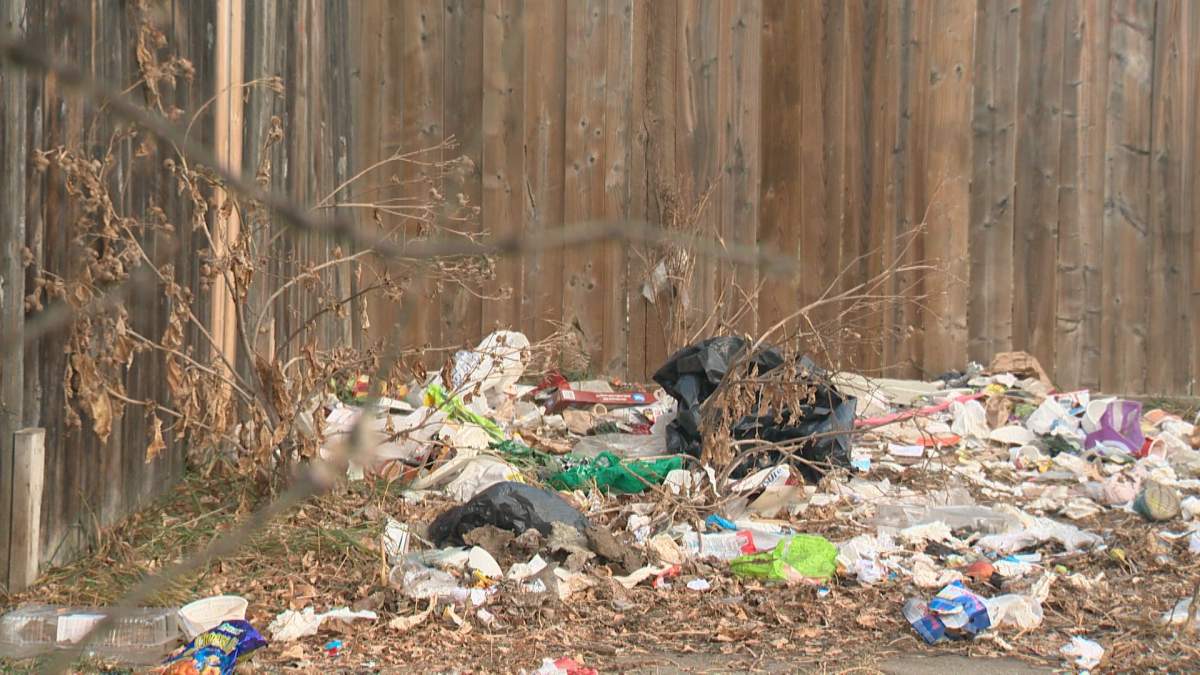 What local residents have to deal with daily behind their homes in the McCauley neighbourhood.