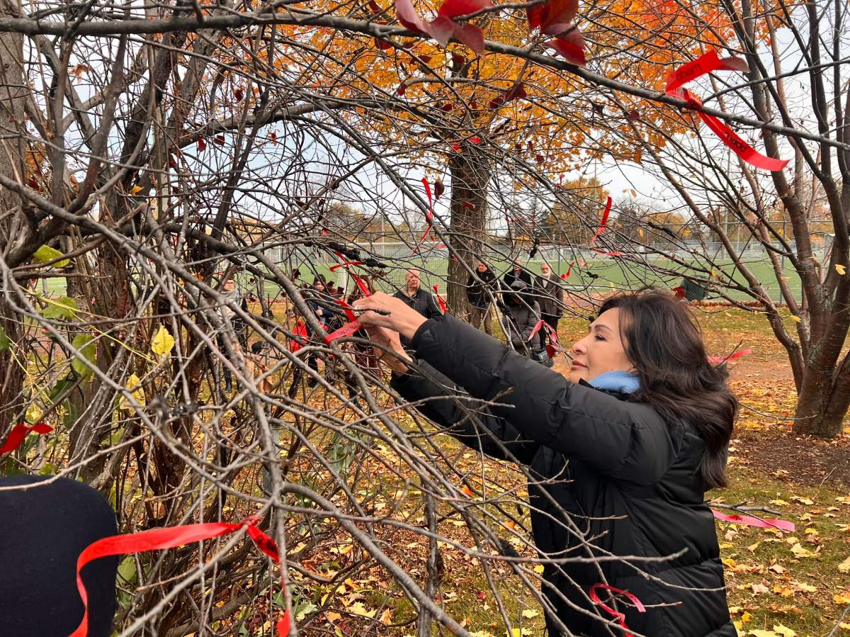 MADD Montreal president Elizabeth Rivera hangs a red ribbon in a tree in honour of her daughter, who died in a 2017 impaired driving accident. Nov 1, 2023.