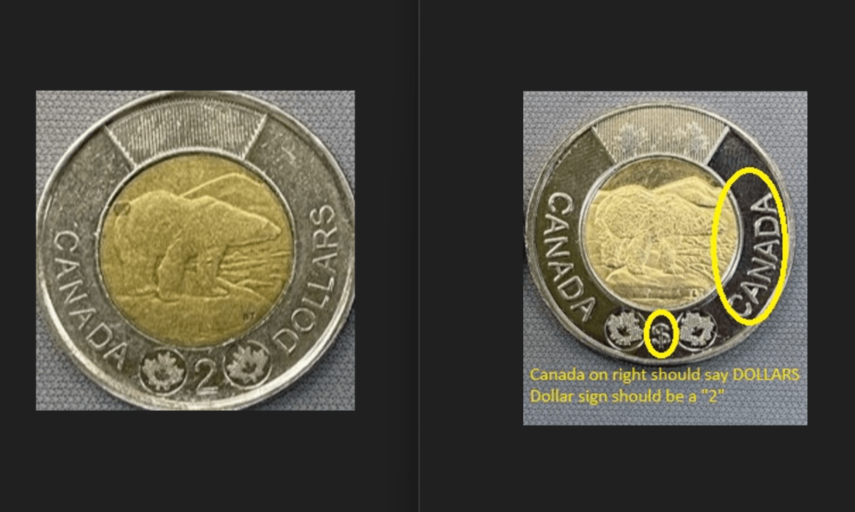 Real vs fake Toonie