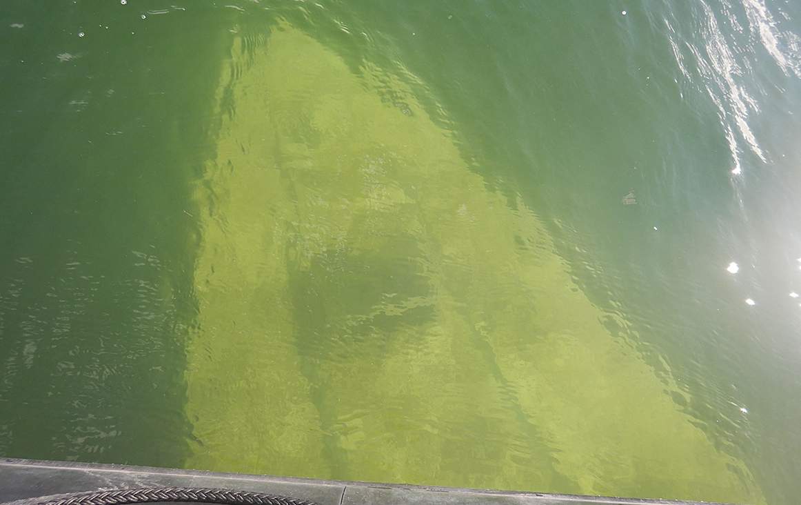 A sunken boat was discovered in Shuswap Lake in B.C., while crews were conducting buoy enforcement this year.