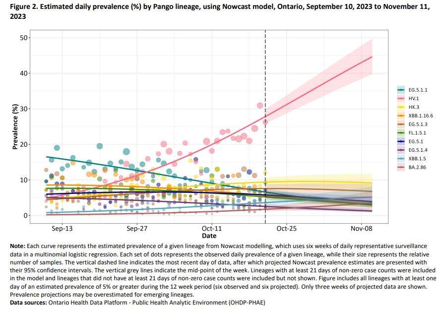 ‘It’s here’: COVID subvariant HV.1 growing in Canada. What to know so far - image