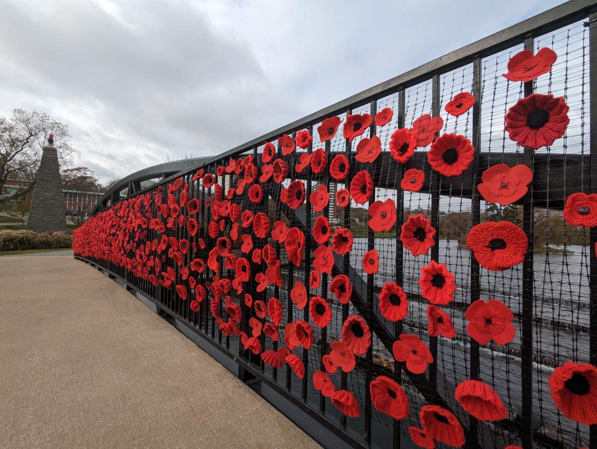 The bridge at Sullivan's Pond in Dartmouth is decorated with poppies hand-crafted by residents, family, and community volunteers of the Oakwood Terrace Nursing Home in Dartmouth. The community is expecting a larger turnout than usual at its annual Remembrance Day ceremony this year following the Royal Canadian Legion's decision to cancel their service at Grand Parade in Halifax.