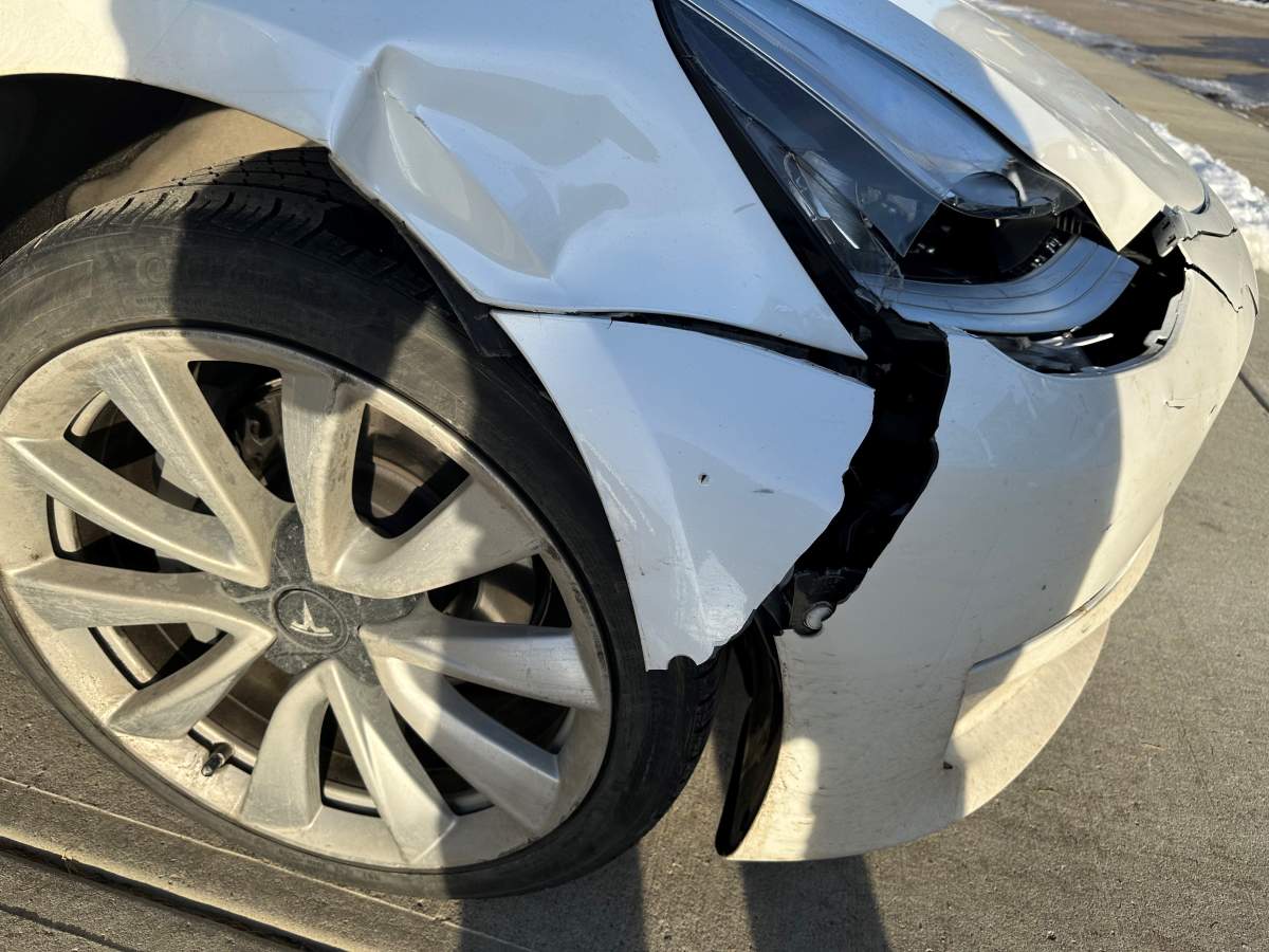 Alberta driver struggling with insurance woes after striking deer - image