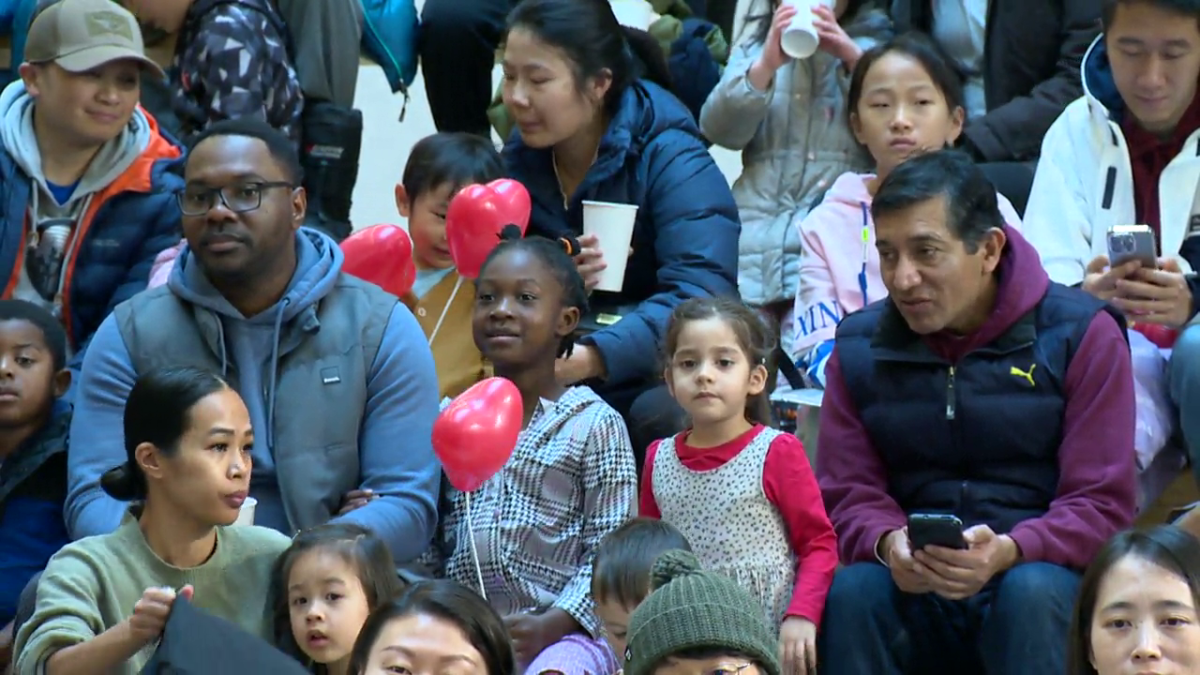 Hundreds of people showed up to celebrate Calgary's Central Library's fifth birthday on Saturday, marking five years of it being a crucial community resource for the city.