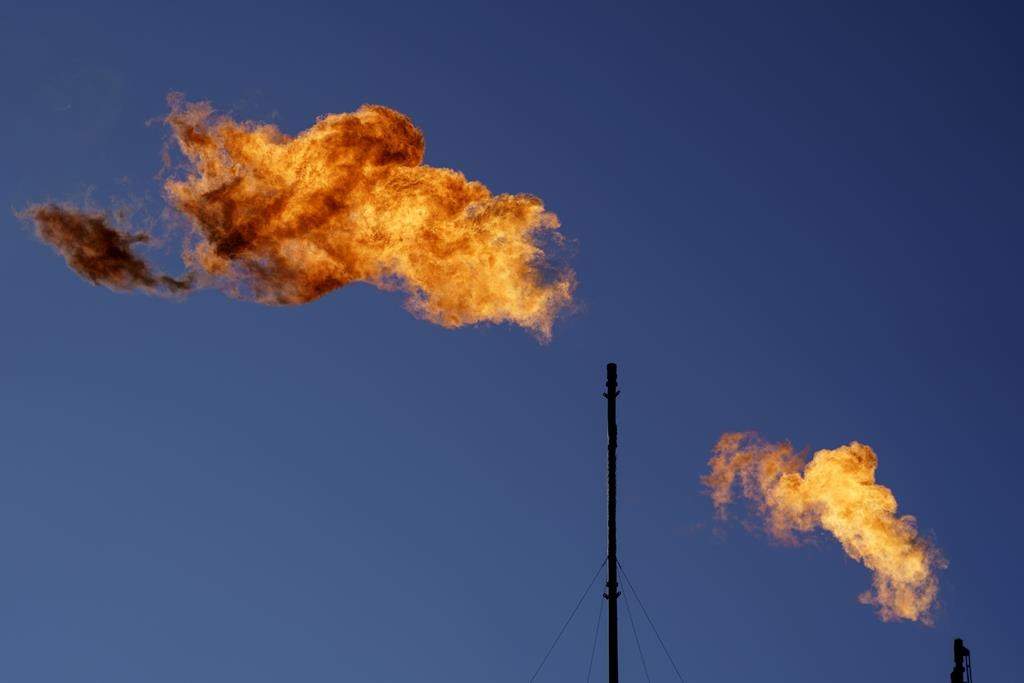 Flares burn off methane and other hydrocarbons at an oil and gas facility in Lenorah, Texas, Friday, Oct. 15, 2021.  