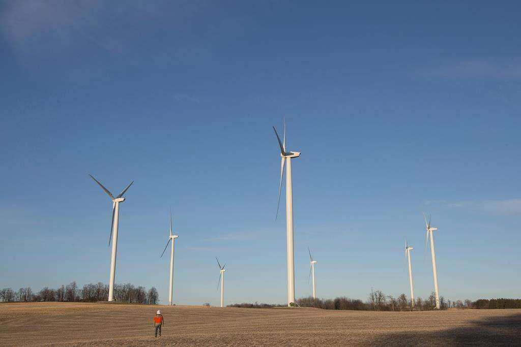Quebec's Environment Department is introducing new rules to mitigate the impact of wind farms on bats in the province. A boy walks across a field towards wind turbines as the sun sets north of Orono, Ont., Tuesday, Dec. 18, 2018. 
