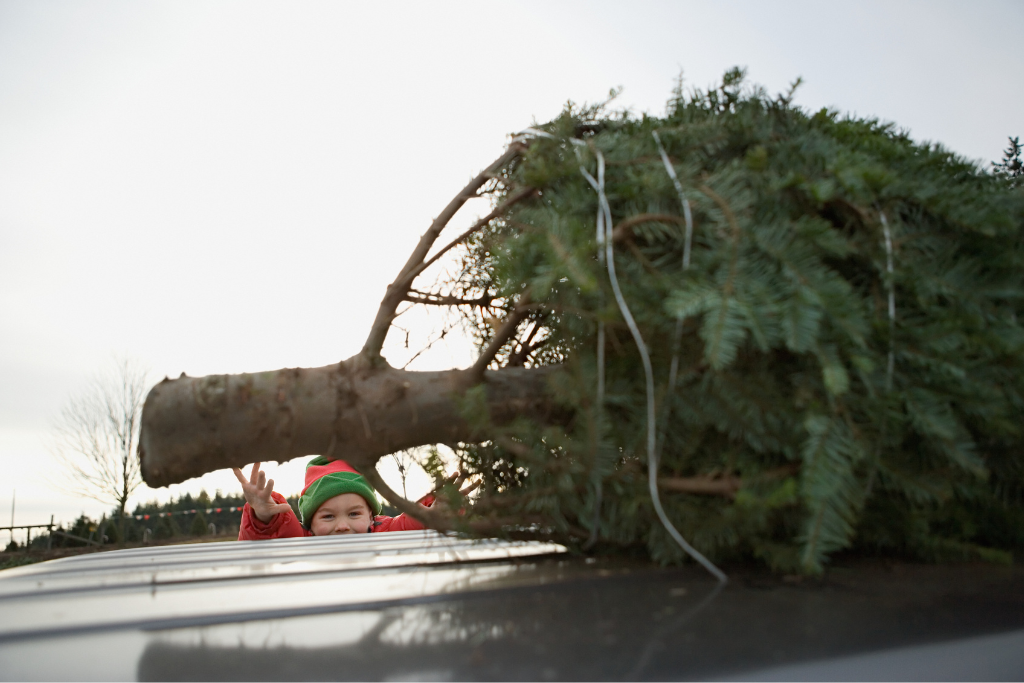 As the holiday season comes to an end, those who put up a live Christmas tree will likely be looking to get rid of it. The Regional District of Central Okanagan is making it easy.