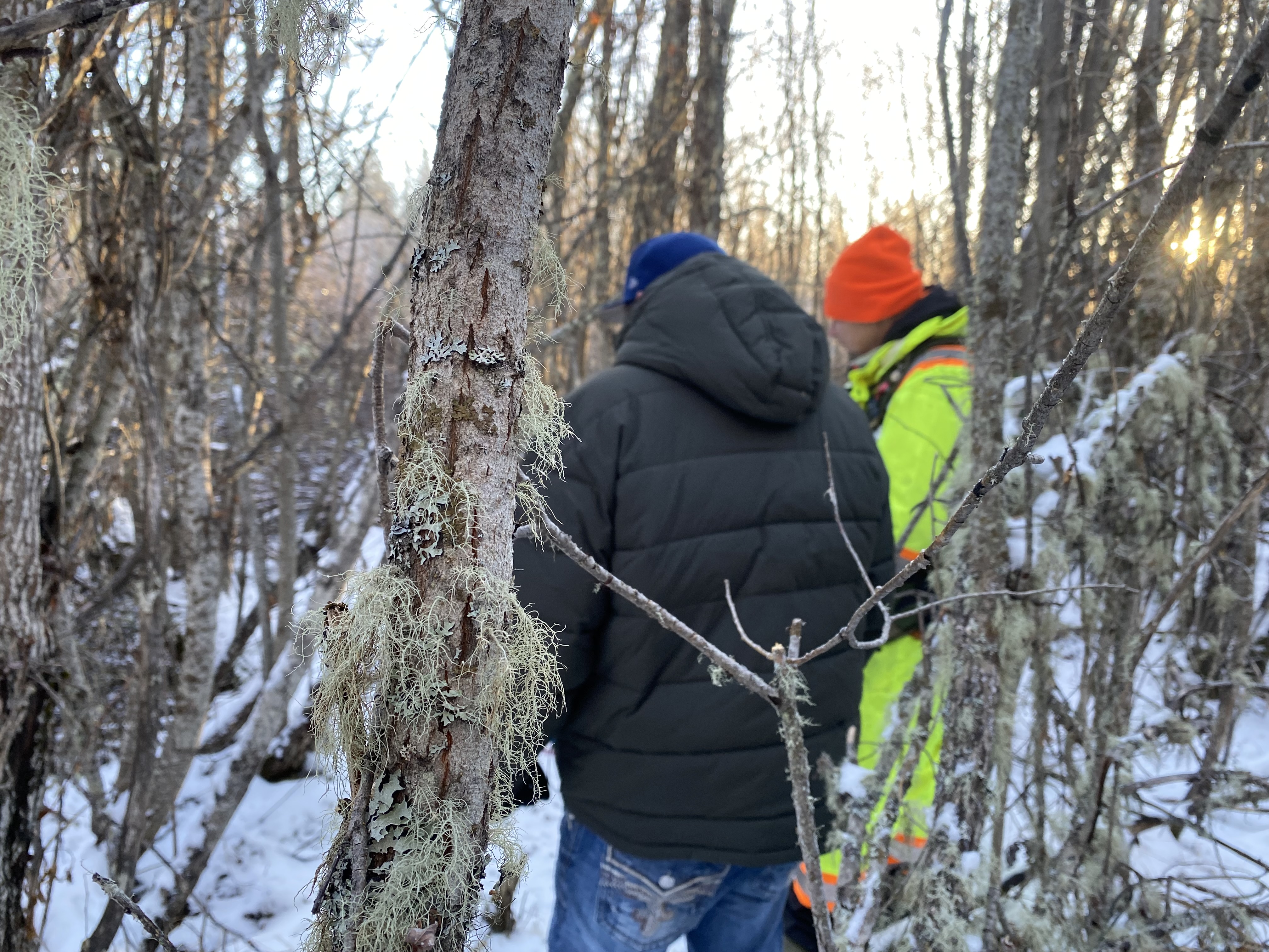 Two people stand in the forest, one wearing high vis