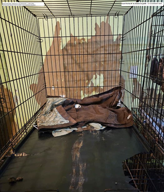 An image of Mally’s after the MNRF seized raccoons, filed with the courts by the sanctuary.