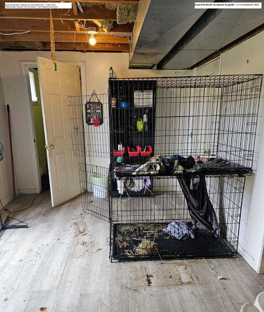 An image of Mally’s after the MNRF seized raccoons, filed with the courts by the sanctuary.