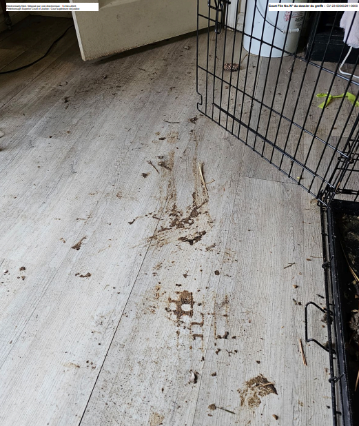 An image of Mally’s after the MNRF seized raccoons, filed with the courts by the sanctuary.