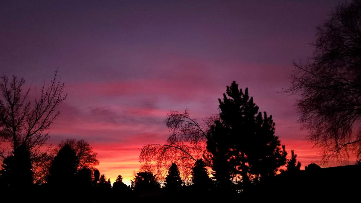 The Your Saskatchewan photo of the day for Dec. 31 was taken by Diane Zilkowsky, in Saskatoon.