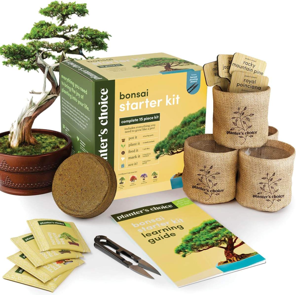 A bonsai starter kit.