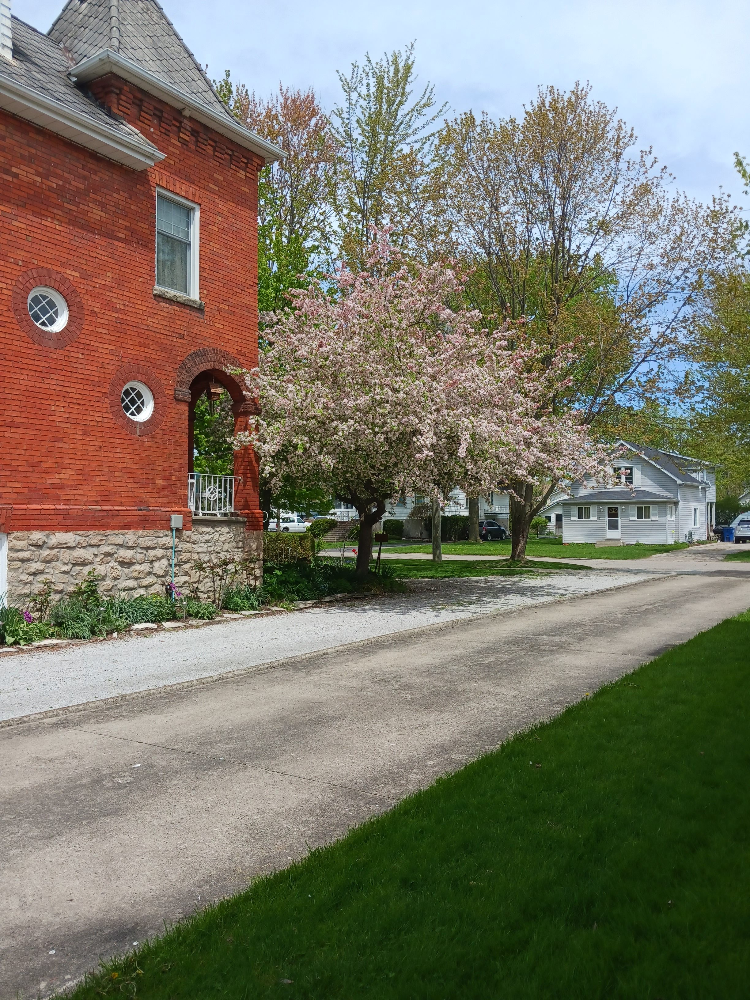 A cherry tree next to a red brick house.