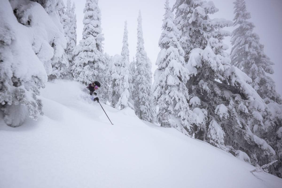 Okanagan ski hills describe overnight snowfall as ‘fluffy, perfect’ - image