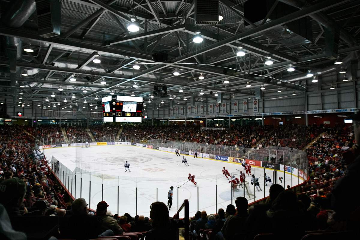 Trevor Daley Sault Ste. Marie Greyhounds