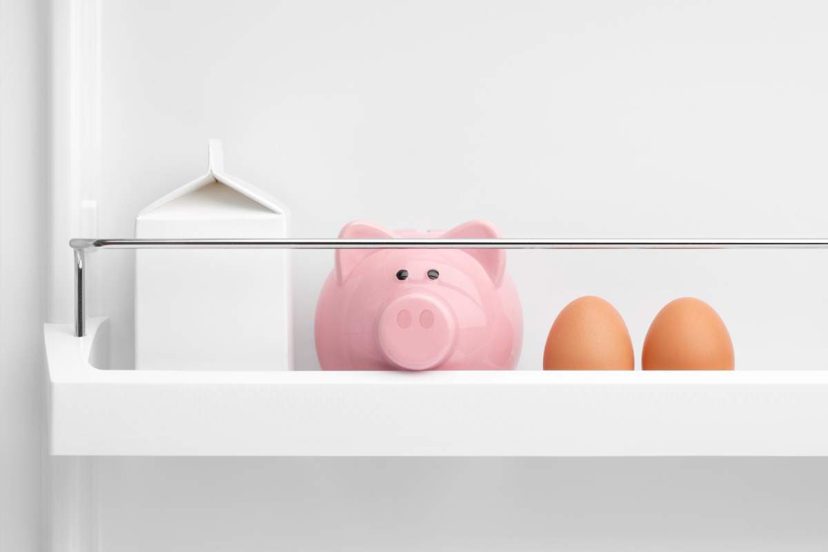 fridge shelf with piggy bank milk container and eggs