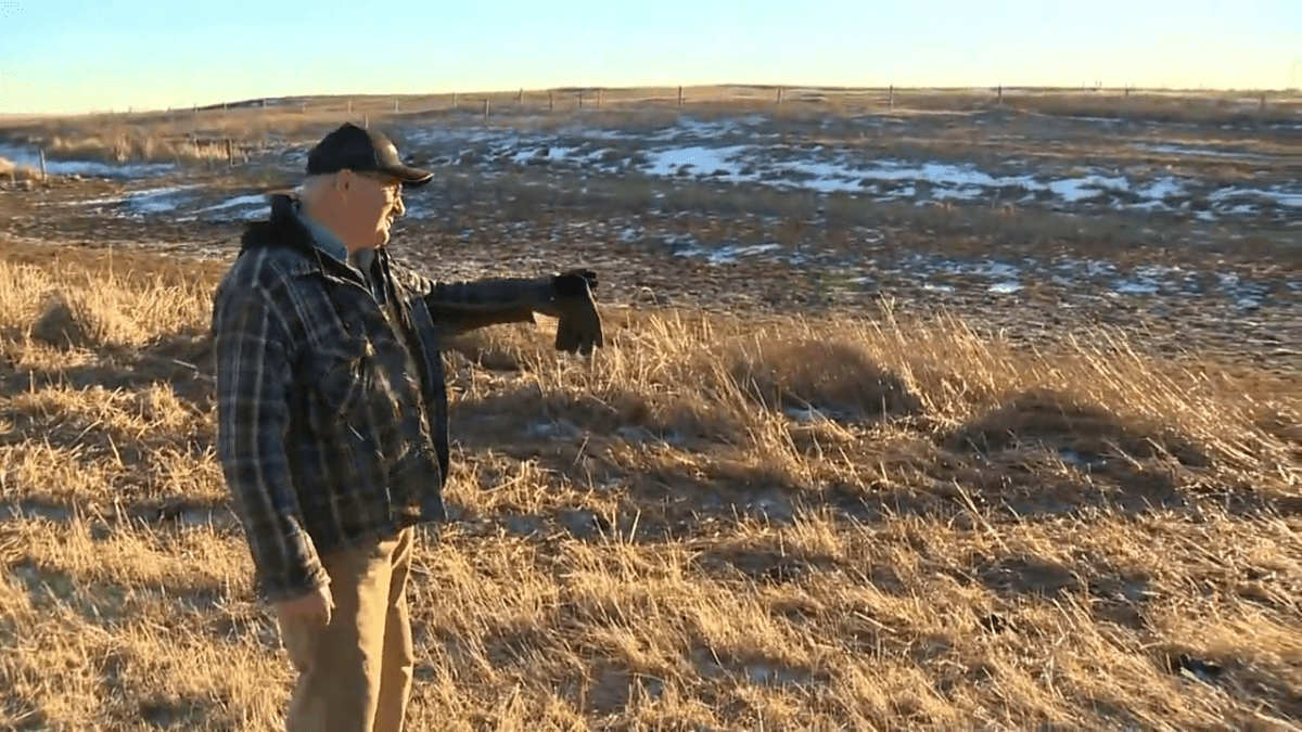 Rancher Allen Jones looks out at a bone-dry dugout on his Balzac, Alta., ranch on Jan. 4, 2024.