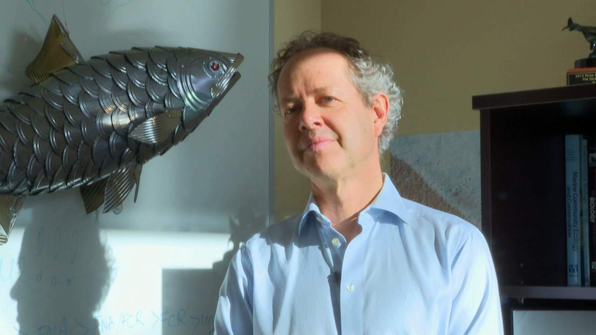 Boris Work is a Dalhousie University biology professor and the study’s lead author.